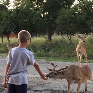 Meet your Posher, Sandra